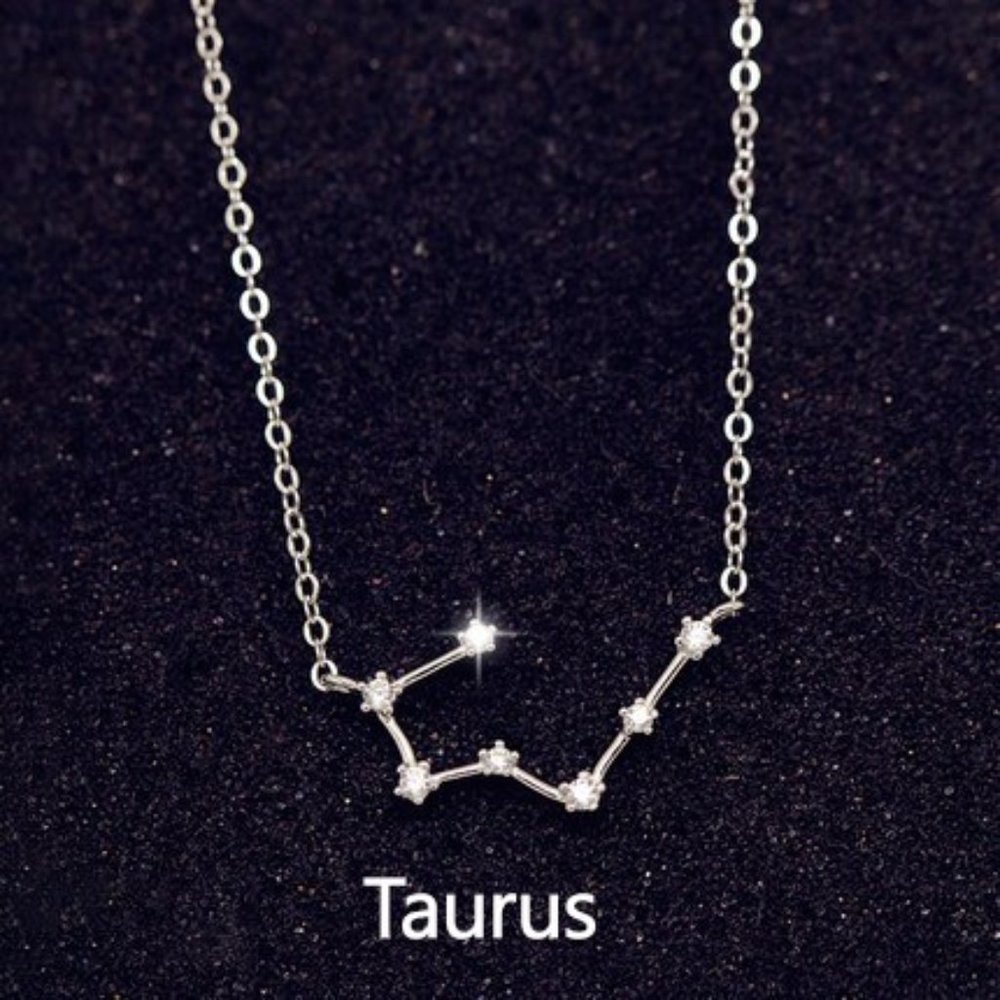 NEW Silver Zodiac Necklace - Taurus